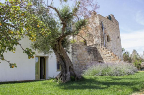 Гостиница Casina Spiggiano Agriturismo  Презичче